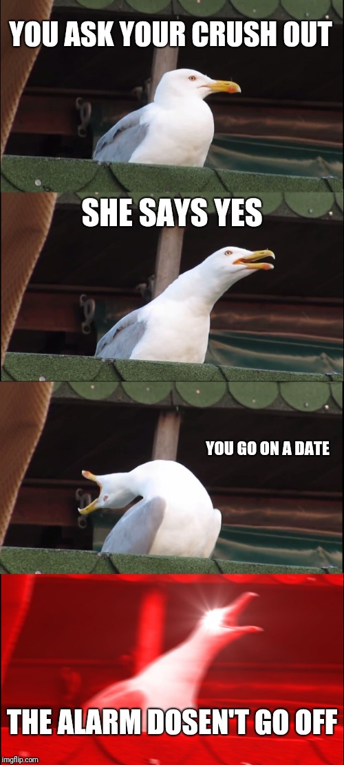 Inhaling Seagull Meme | YOU ASK YOUR CRUSH OUT; SHE SAYS YES; YOU GO ON A DATE; THE ALARM DOSEN'T GO OFF | image tagged in memes,inhaling seagull | made w/ Imgflip meme maker