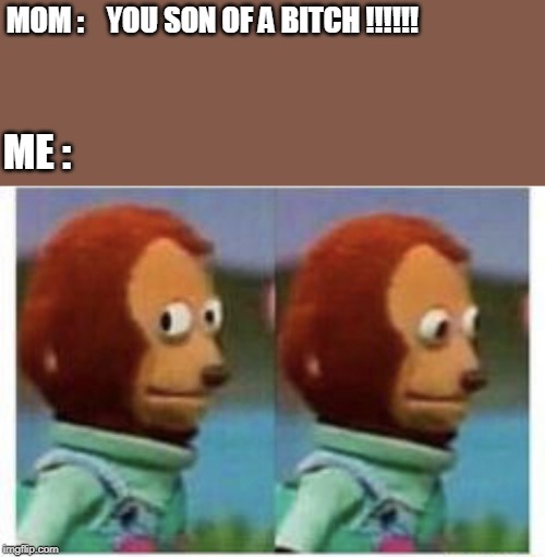 side eye teddy | MOM :    YOU SON OF A BITCH !!!!!! ME : | image tagged in side eye teddy | made w/ Imgflip meme maker