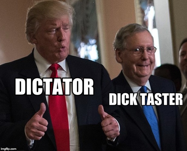 We need term limits! | Z | image tagged in trump,impeach,mitch mcconnell | made w/ Imgflip meme maker