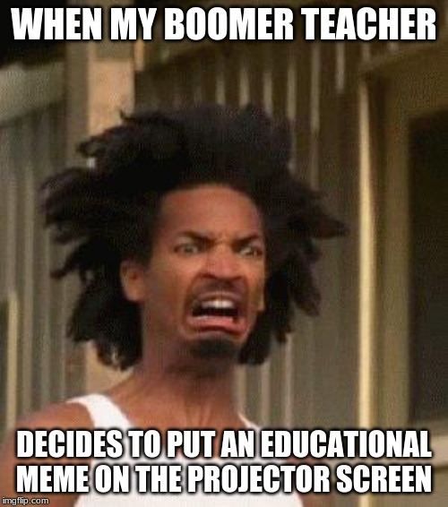 Disgusted Face | WHEN MY BOOMER TEACHER; DECIDES TO PUT AN EDUCATIONAL MEME ON THE PROJECTOR SCREEN | image tagged in disgusted face | made w/ Imgflip meme maker