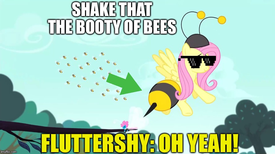 Shake a Fluttershy’s booty | SHAKE THAT THE BOOTY OF BEES; FLUTTERSHY: OH YEAH! | image tagged in mlp fim,mlp meme,memes,fluttershy,booty,shake | made w/ Imgflip meme maker