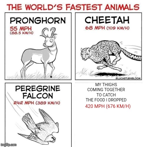 The world's fastest animals | MY THIGHS COMING TOGETHER TO CATCH THE FOOD I DROPPED; 420 MPH (676 KM/H) | image tagged in the world's fastest animals | made w/ Imgflip meme maker