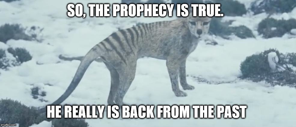 The Australian Dog Is Back From Extinction! | SO, THE PROPHECY IS TRUE. HE REALLY IS BACK FROM THE PAST | image tagged in tasmanian tiger,tasmanian wolf,back from the past,back from extinction,memes | made w/ Imgflip meme maker