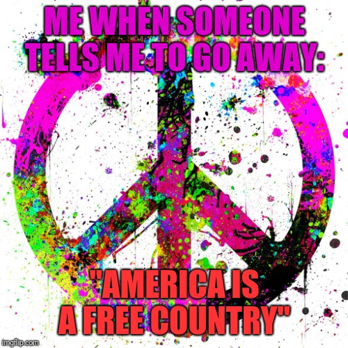 Peace | ME WHEN SOMEONE TELLS ME TO GO AWAY:; "AMERICA IS A FREE COUNTRY" | image tagged in peace | made w/ Imgflip meme maker