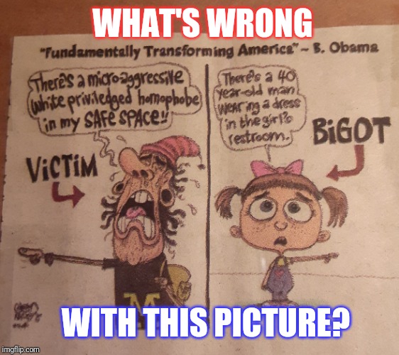 CRAZY WORLD OF POLITICAL CORRECTNESS | WHAT'S WRONG; WITH THIS PICTURE? | image tagged in college liberal,political correctness,insanity puppy,crazy liberals | made w/ Imgflip meme maker