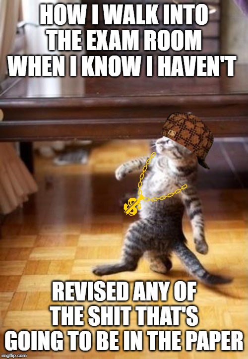 Cool Cat Stroll Meme | HOW I WALK INTO THE EXAM ROOM WHEN I KNOW I HAVEN'T; REVISED ANY OF THE SHIT THAT'S GOING TO BE IN THE PAPER | image tagged in memes,cool cat stroll | made w/ Imgflip meme maker