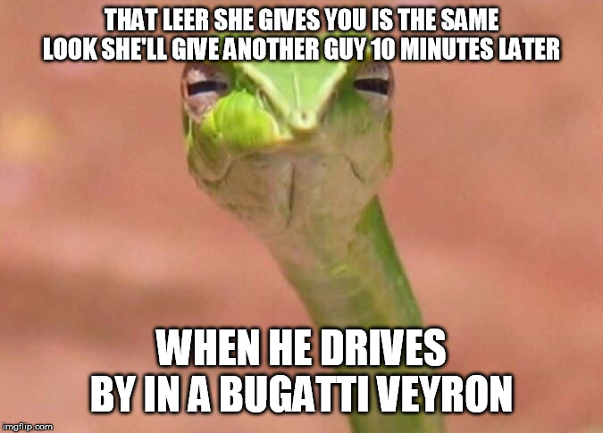 Skeptical snake | THAT LEER SHE GIVES YOU IS THE SAME LOOK SHE'LL GIVE ANOTHER GUY 10 MINUTES LATER WHEN HE DRIVES BY IN A BUGATTI VEYRON | image tagged in skeptical snake | made w/ Imgflip meme maker
