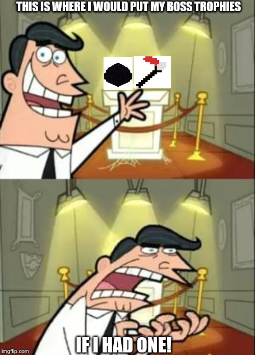This Is Where I'd Put My Trophy If I Had One | THIS IS WHERE I WOULD PUT MY BOSS TROPHIES; IF I HAD ONE! | image tagged in memes,this is where i'd put my trophy if i had one | made w/ Imgflip meme maker