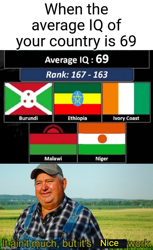 IQ 69 | When the average IQ of your country is 69; Nice | image tagged in iq,69,it ain't much but it's honest work,average,nice,country | made w/ Imgflip meme maker