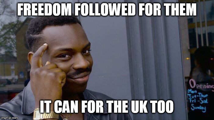 Roll Safe Think About It Meme | FREEDOM FOLLOWED FOR THEM IT CAN FOR THE UK TOO | image tagged in memes,roll safe think about it | made w/ Imgflip meme maker