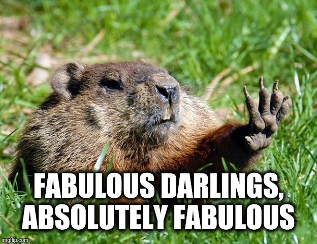 When you mention her nails... |  FABULOUS DARLINGS, ABSOLUTELY FABULOUS | image tagged in stunning beaver,absolutely fabulous,fabulous,nails | made w/ Imgflip meme maker