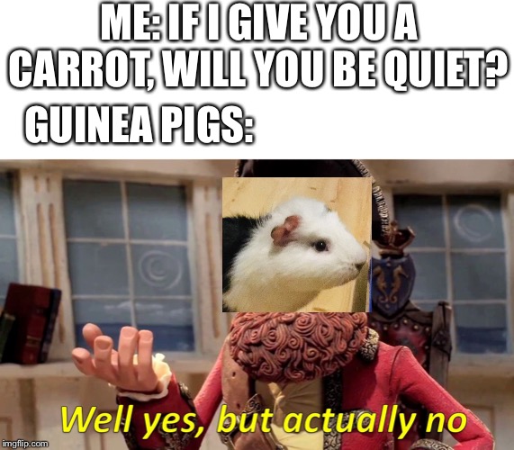 Well yes, but actually no | ME: IF I GIVE YOU A CARROT, WILL YOU BE QUIET? GUINEA PIGS: | image tagged in well yes but actually no | made w/ Imgflip meme maker