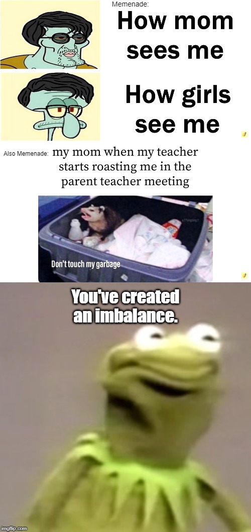 Teacher: The test won't be that confusing. The test: (You're unclear on if your mom loves you or not, there's an inconsistency) | Memenade:; Also Memenade:; You've created an imbalance. | image tagged in kermit weird face,mom,squidward,possum,garbage,touching | made w/ Imgflip meme maker
