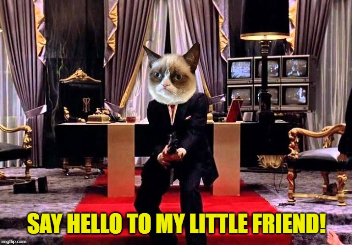 Say Hello to my little Friend | SAY HELLO TO MY LITTLE FRIEND! | image tagged in say hello to my little friend | made w/ Imgflip meme maker