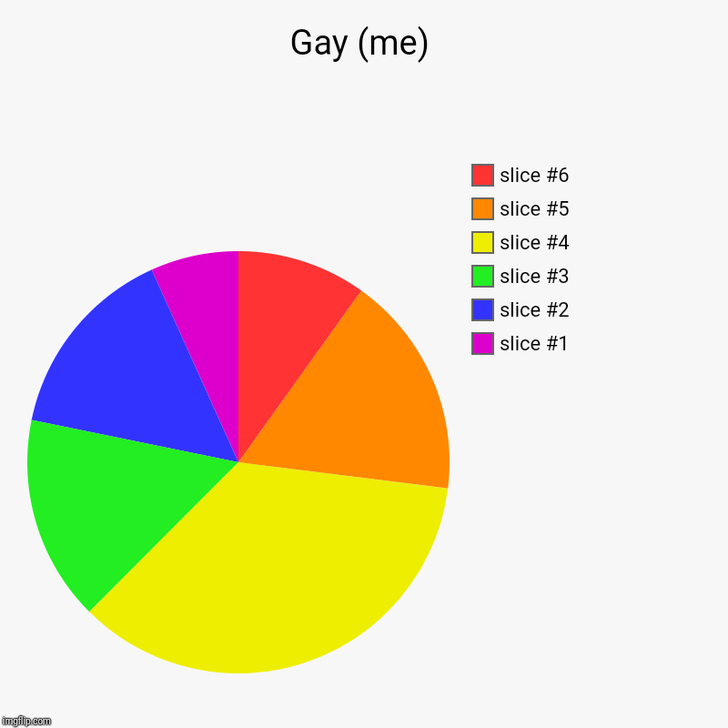 Gay (me) | | image tagged in charts,pie charts | made w/ Imgflip chart maker