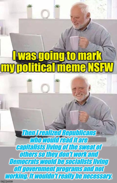 And that's how you get 7 views, no upvotes and no comments! | I was going to mark my political meme NSFW; Then I realized Republicans who would read it are capitalists living of the sweat of others so they don't work and Democrats would be socialists living off government programs and not working. It wouldn't really be necessary. | image tagged in memes,hide the pain harold | made w/ Imgflip meme maker