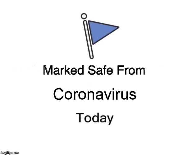 Marked Safe From Meme | Coronavirus | image tagged in memes,marked safe from,political meme,coronavirus | made w/ Imgflip meme maker