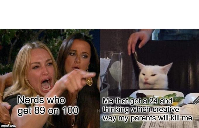 Woman Yelling At Cat | Me that got a 24 and thinking which creative way my parents will kill me; Nerds who get 89 on 100 | image tagged in memes,woman yelling at cat | made w/ Imgflip meme maker