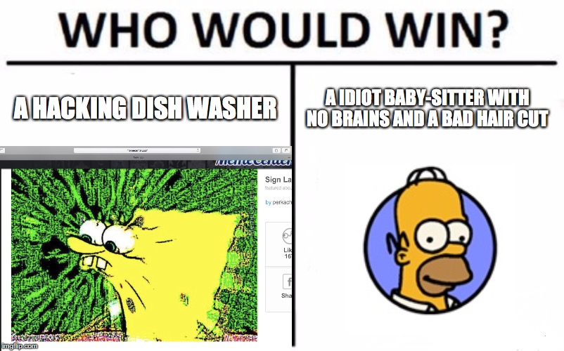 who would win | A HACKING DISH WASHER; A IDIOT BABY-SITTER WITH NO BRAINS AND A BAD HAIR CUT | image tagged in yeah | made w/ Imgflip meme maker