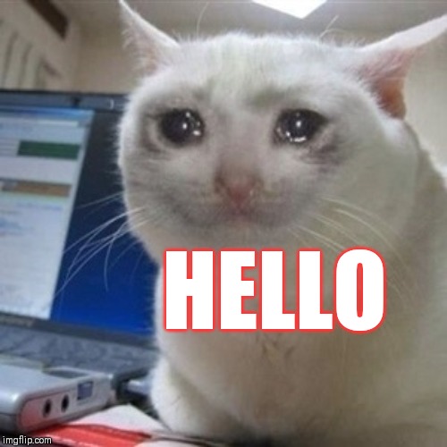 Crying cat | HELLO | image tagged in crying cat | made w/ Imgflip meme maker