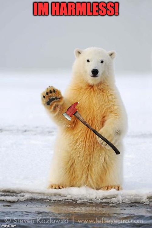 hello polar bear | IM HARMLESS! | image tagged in hello polar bear | made w/ Imgflip meme maker