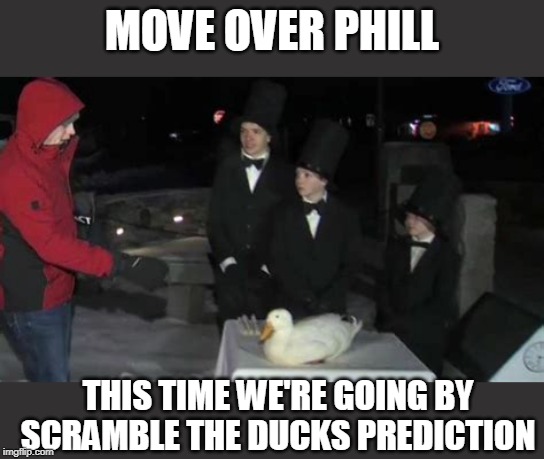 SCRAMBLE THE DUCK IN CONNECTICUT IS 100% ACCURATE | MOVE OVER PHILL; THIS TIME WE'RE GOING BY SCRAMBLE THE DUCKS PREDICTION | image tagged in groundhog day,ducks | made w/ Imgflip meme maker