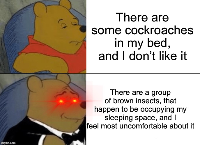 Tuxedo Winnie The Pooh | There are some cockroaches in my bed, and I don’t like it; There are a group of brown insects, that happen to be occupying my sleeping space, and I feel most uncomfortable about it | image tagged in memes,tuxedo winnie the pooh,funny,bugs,dope,lol | made w/ Imgflip meme maker