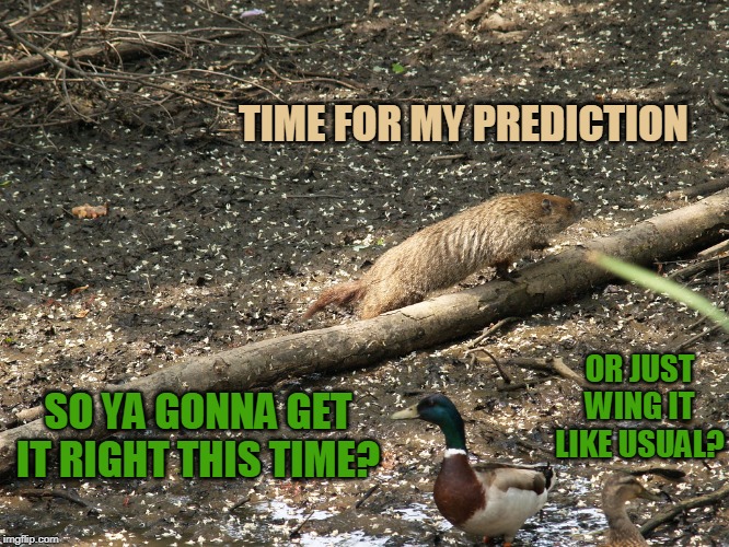 PHIL IS LESS THEN 50% ACCURATE | TIME FOR MY PREDICTION; SO YA GONNA GET IT RIGHT THIS TIME? OR JUST WING IT LIKE USUAL? | image tagged in groundhog day,ducks | made w/ Imgflip meme maker
