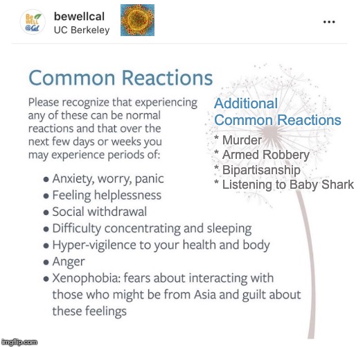 Coronavirus Common Reactions | Additional Common Reactions; * Murder
* Armed Robbery
* Bipartisanship
* Listening to Baby Shark | image tagged in coronavirus common reactions,uc berkeley,university health services,memes,xenophobia | made w/ Imgflip meme maker