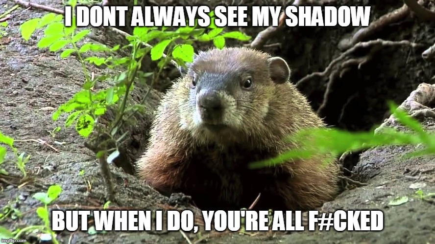 HE'S GOING BACK TO SLEEP | I DONT ALWAYS SEE MY SHADOW; BUT WHEN I DO, YOU'RE ALL F#CKED | image tagged in groundhog day,groundhog,winter,the most interesting man in the world | made w/ Imgflip meme maker