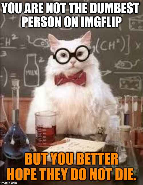 SMART CAT | YOU ARE NOT THE DUMBEST 
PERSON ON IMGFLIP; BUT YOU BETTER HOPE THEY DO NOT DIE. | image tagged in smart cat | made w/ Imgflip meme maker