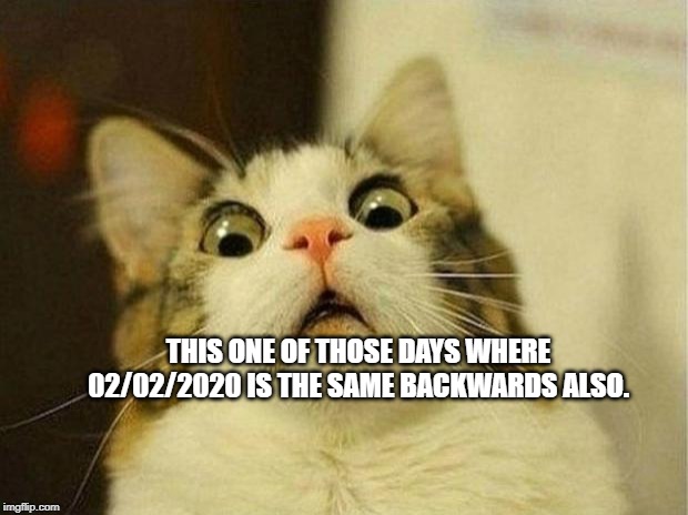 Scared Cat Meme | THIS ONE OF THOSE DAYS WHERE 02/02/2020 IS THE SAME BACKWARDS ALSO. | image tagged in memes,scared cat | made w/ Imgflip meme maker