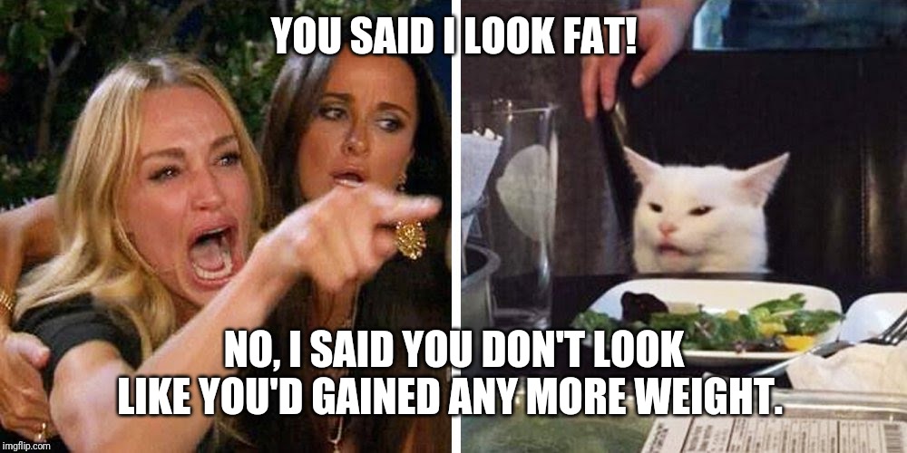 Smudge the cat | YOU SAID I LOOK FAT! NO, I SAID YOU DON'T LOOK LIKE YOU'D GAINED ANY MORE WEIGHT. | image tagged in smudge the cat | made w/ Imgflip meme maker