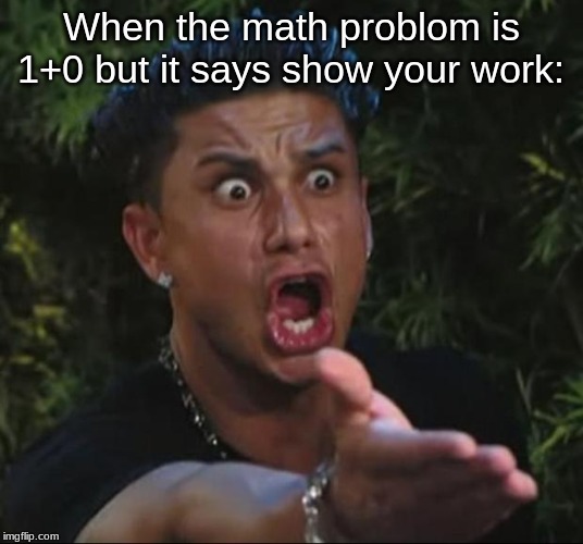 DJ Pauly D Meme | When the math problom is 1+0 but it says show your work: | image tagged in memes,dj pauly d | made w/ Imgflip meme maker