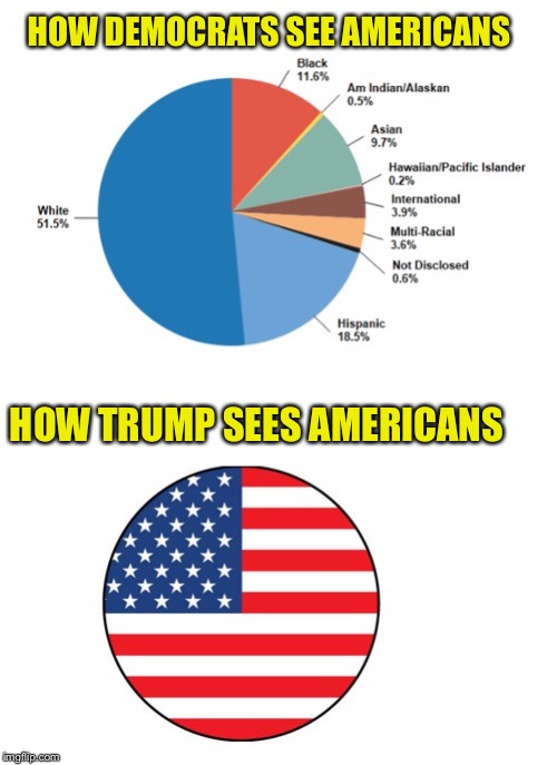 Democrats just want to divide us... | HOW DEMOCRATS SEE AMERICANS; HOW TRUMP SEES AMERICANS | image tagged in democrats divide us,trump unites us,ConservativeMemes | made w/ Imgflip meme maker