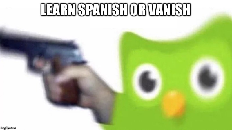 duolingo gun | LEARN SPANISH OR VANISH | image tagged in duolingo gun | made w/ Imgflip meme maker