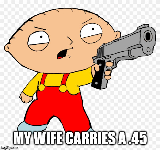 stewie griffin gun control laws | MY WIFE CARRIES A .45 | image tagged in stewie griffin gun control laws | made w/ Imgflip meme maker