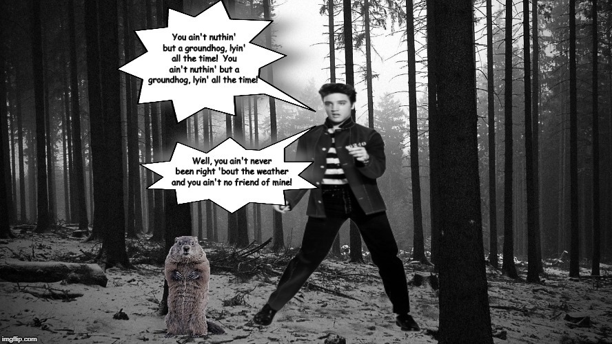 Happy Groundhog Day, Everybody! | Well, you ain't never been right 'bout the weather and you ain't no friend of mine! | image tagged in bad photoshop sunday,groundhog day,elvis presley,memes | made w/ Imgflip meme maker