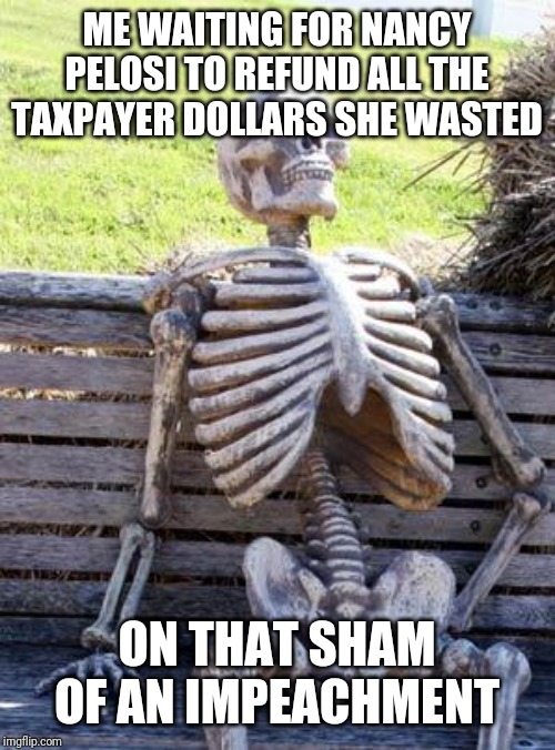 Seriously. That was my money. Wasted. It's gone now. | ME WAITING FOR NANCY PELOSI TO REFUND ALL THE TAXPAYER DOLLARS SHE WASTED; ON THAT SHAM OF AN IMPEACHMENT | image tagged in memes,waiting skeleton,taxes,wasted,waste of money,nancy pelosi | made w/ Imgflip meme maker