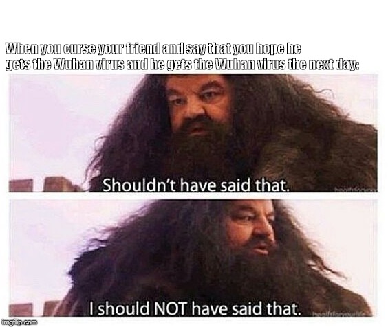 Hagrid shouldn't have said that | When you curse your friend and say that you hope he gets the Wuhan virus and he gets the Wuhan virus the next day: | image tagged in hagrid shouldn't have said that | made w/ Imgflip meme maker