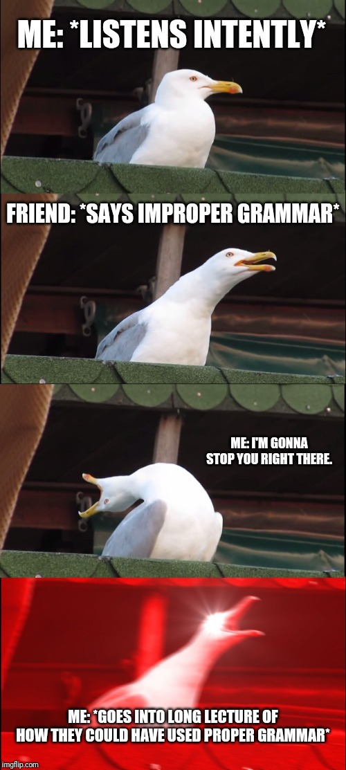 Inhaling Seagull | ME: *LISTENS INTENTLY*; FRIEND: *SAYS IMPROPER GRAMMAR*; ME: I'M GONNA STOP YOU RIGHT THERE. ME: *GOES INTO LONG LECTURE OF HOW THEY COULD HAVE USED PROPER GRAMMAR* | image tagged in memes,inhaling seagull | made w/ Imgflip meme maker