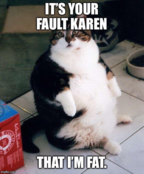 fat cat | IT’S YOUR FAULT KAREN; THAT I’M FAT. | image tagged in fat cat | made w/ Imgflip meme maker