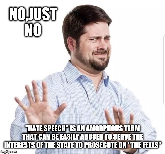 No thank you | NO,JUST NO "HATE SPEECH" IS AN AMORPHOUS TERM THAT CAN BE EASILY ABUSED TO SERVE THE INTERESTS OF THE STATE TO PROSECUTE ON "THE FEELS" | image tagged in no thank you | made w/ Imgflip meme maker