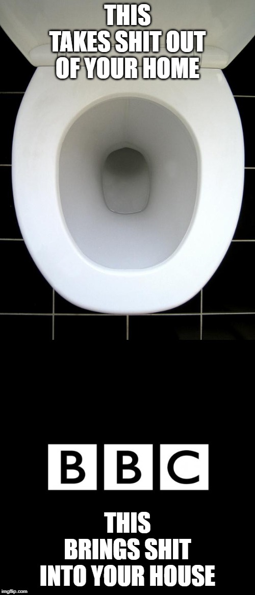 THIS TAKES SHIT OUT OF YOUR HOME; THIS BRINGS SHIT INTO YOUR HOUSE | image tagged in toilet,just bbc things | made w/ Imgflip meme maker