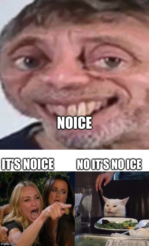 NOICE; NO IT'S NO ICE; IT'S NOICE | image tagged in noice,memes,woman yelling at cat | made w/ Imgflip meme maker
