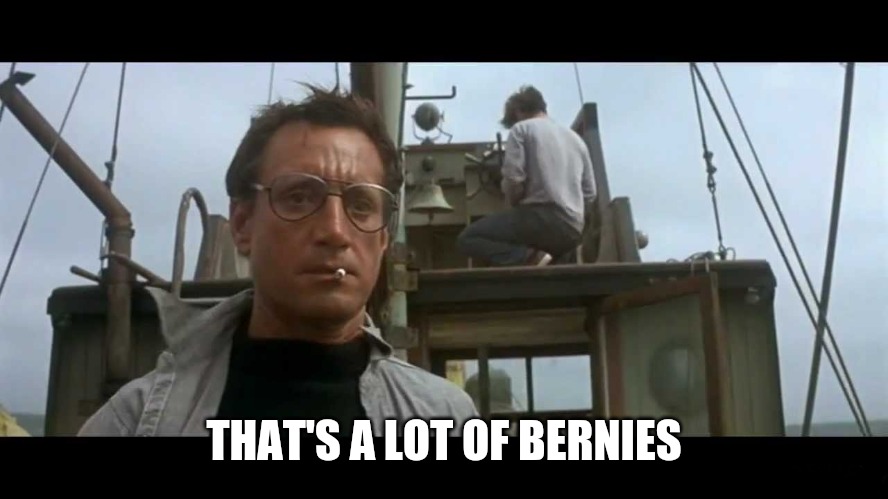Jaws bigger boat | THAT'S A LOT OF BERNIES | image tagged in jaws bigger boat | made w/ Imgflip meme maker
