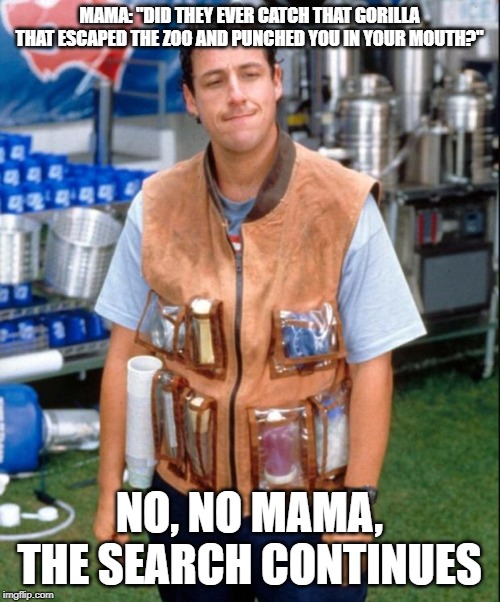Waterboy | MAMA: "DID THEY EVER CATCH THAT GORILLA THAT ESCAPED THE ZOO AND PUNCHED YOU IN YOUR MOUTH?" NO, NO MAMA, THE SEARCH CONTINUES | image tagged in waterboy | made w/ Imgflip meme maker