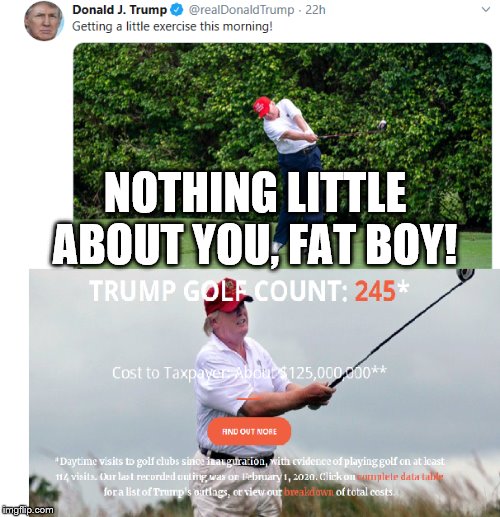 Trump golf | NOTHING LITTLE ABOUT YOU, FAT BOY! | image tagged in trump golf | made w/ Imgflip meme maker