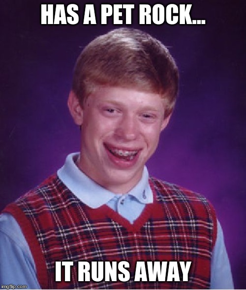 Bad Luck Brian Meme | HAS A PET ROCK... IT RUNS AWAY | image tagged in memes,bad luck brian | made w/ Imgflip meme maker