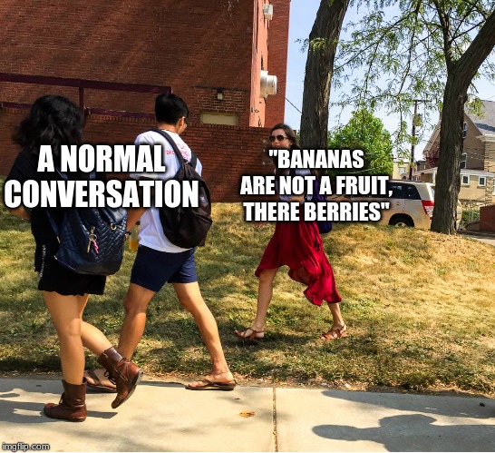 uh oh | "BANANAS ARE NOT FRUIT, THEIR BERRIES"; A NORMAL CONVERSATION | image tagged in uh oh | made w/ Imgflip meme maker